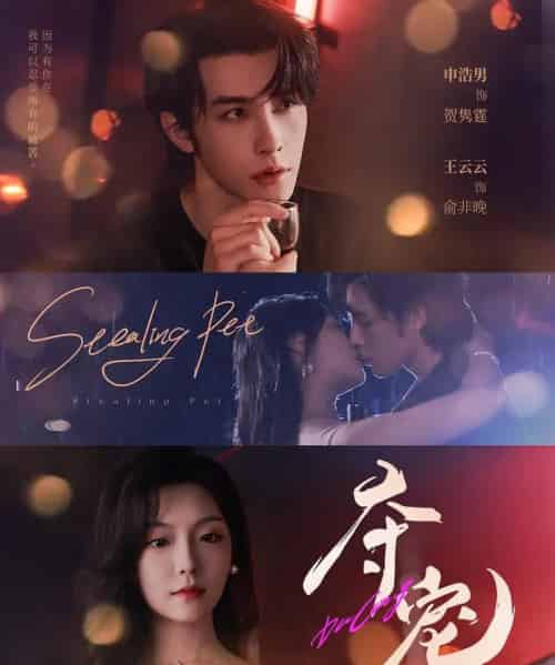 夺宠（88集全）申浩男＆王云云-海之城短剧项目