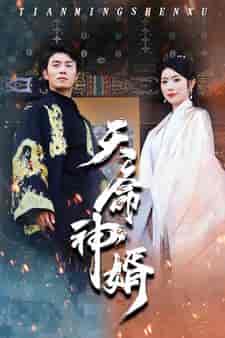 天命神婿（80集） - 海之城短剧