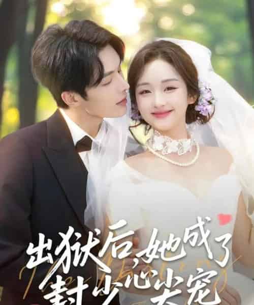 出狱后，她成了封少心尖宠（84集全）陈建宇＆吴佳璐-海之城短剧项目