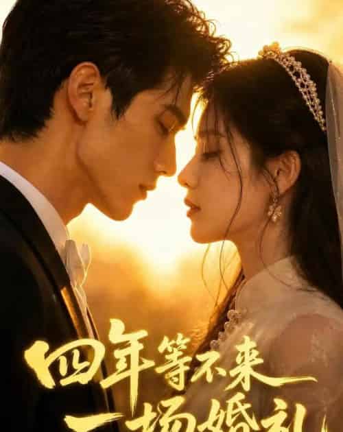 四年等不来一场婚礼（35集全）AI-海之城短剧项目