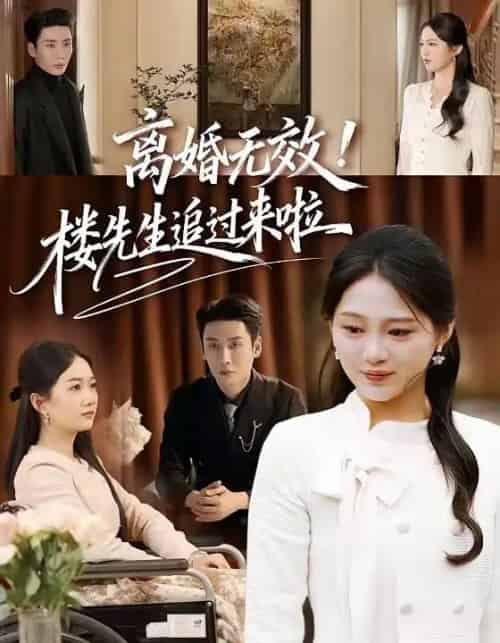 离婚无效！楼先生追过来啦（80集全）刘博洋＆崔秀子-海之城短剧项目