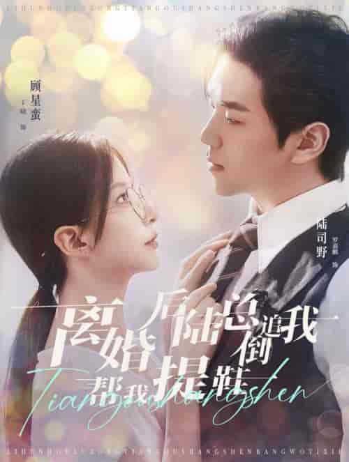 离婚后陆总倒追我帮我提鞋（100集全）罗嘉麒＆丁晓 - 海之城短剧