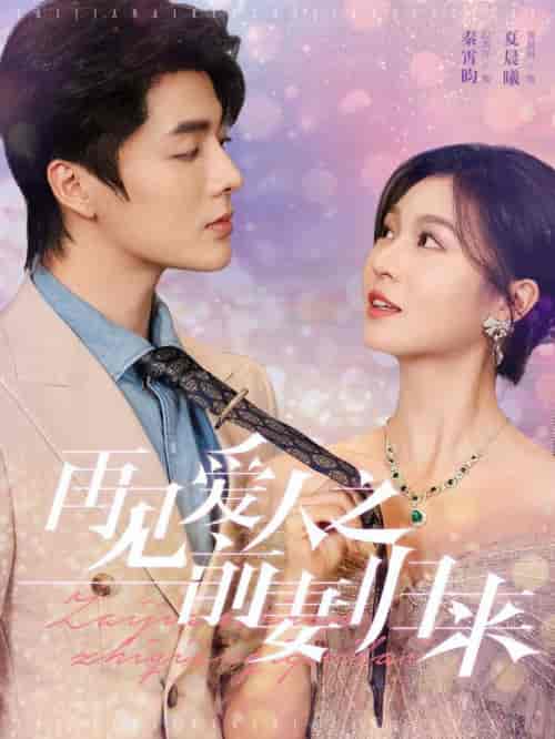 再见爱人之前妻归来（75集全）段美洋＆郑晨雨 - 海之城短剧