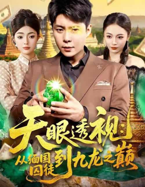 天眼透视：从缅国囚徒到九龙之巅（94集全）邵迪＆韩雨宸-海之城短剧项目