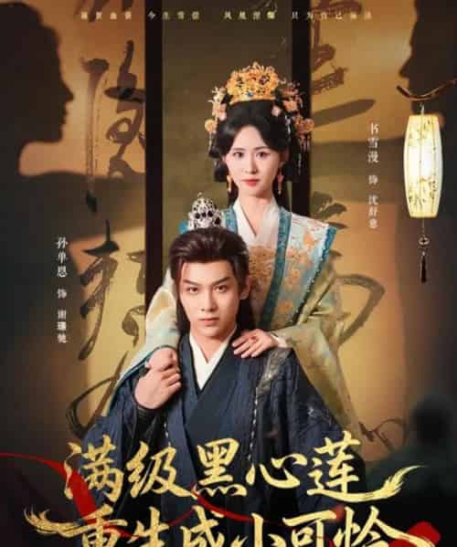 满级黑心莲重生成小可怜（76集全）孙单恩＆书雪漫-海之城短剧项目