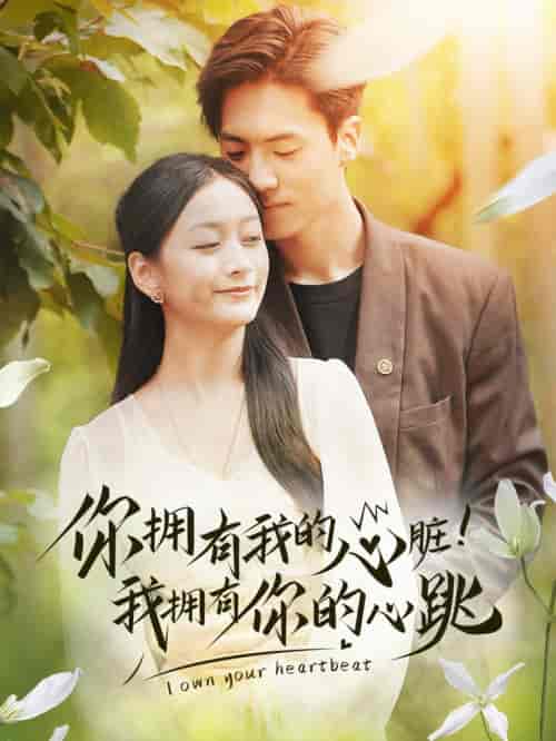 你拥有我的心脏！我拥有你的心跳（78集全） - 海之城短剧