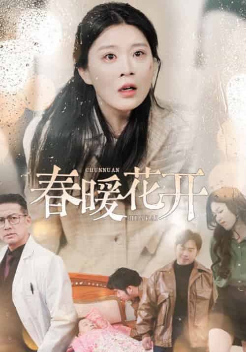 春暖花开（30集全）何刚＆林春凤 - 海之城短剧
