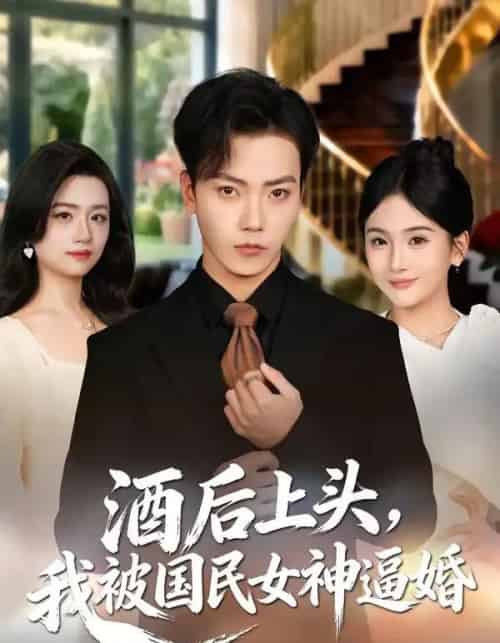 酒后上头，我被国民女神逼婚（80集全）李文轩＆李怡璇-海之城短剧项目