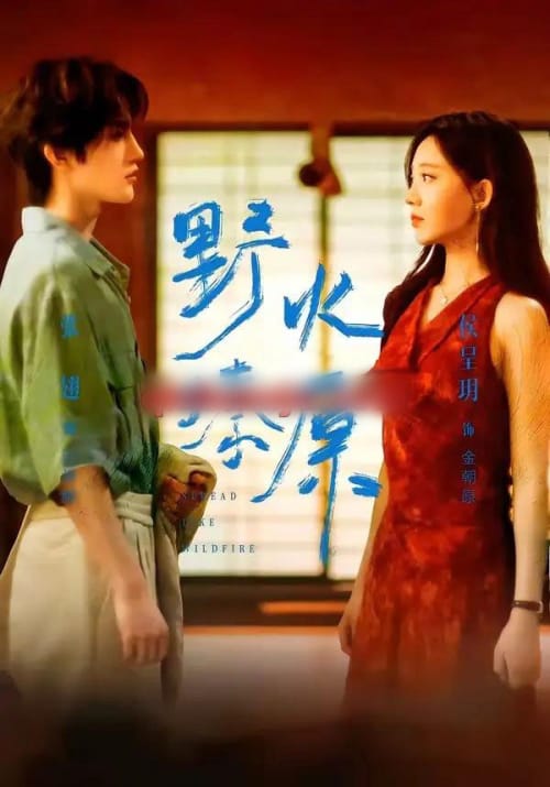 野火燎原（72集全）张翅＆侯呈玥-海之城短剧项目