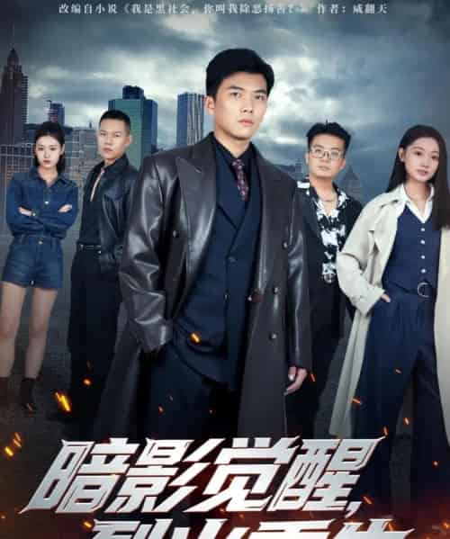 暗影觉醒，烈火重生（80集全）孙钰哲＆李瑶瑶-海之城短剧项目