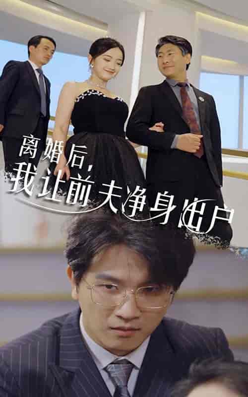离婚后，我让前夫净身出户（30集） - 海之城短剧