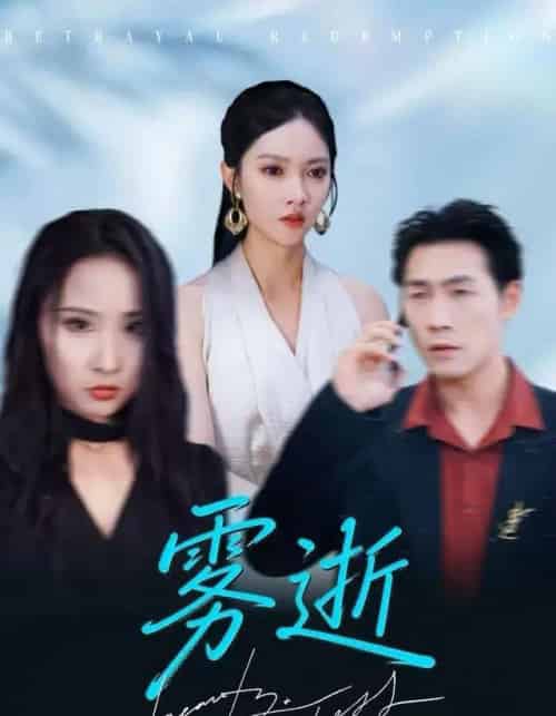 雾逝（30集全）郭虹＆黄健-海之城短剧项目