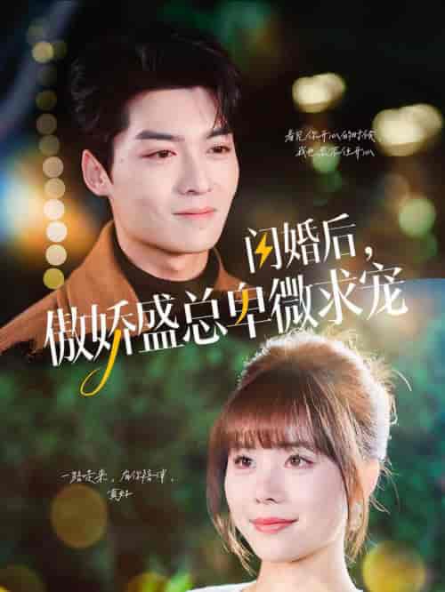 闪婚后傲娇盛总卑微求宠（100集全）方正男＆温叙 - 海之城短剧