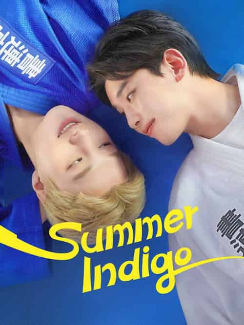 Summer Indigo Summer Indigo