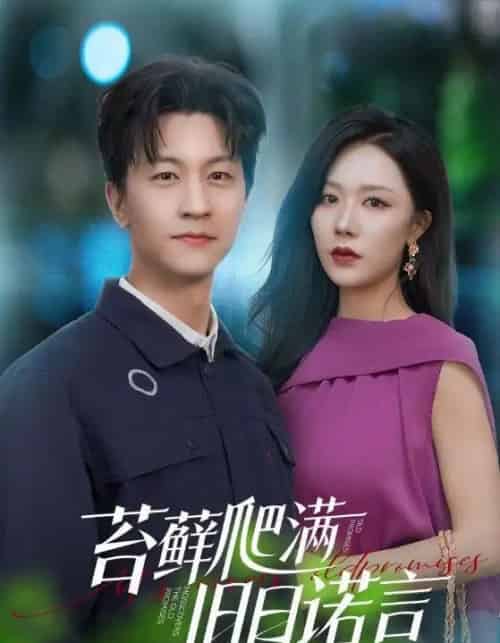 情途难负 情途难负