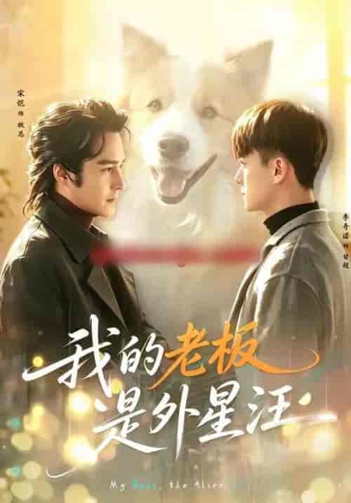 我的老板是外星汪（55集全）宋恺＆李奇诺-海之城短剧项目