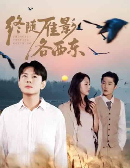 终随雁影各西东（86集全）金鑫欣＆邱浩轩-海之城短剧项目
