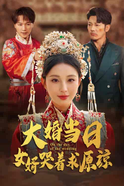大婚当日，女婿哭着求原谅（31集全） - 海之城短剧