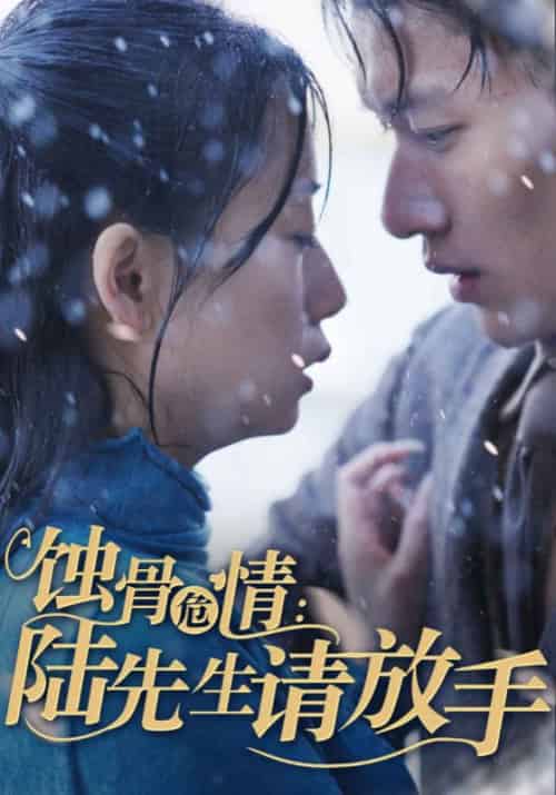 蚀骨危情：陆先生请放手（80集全）陆薄川＆江年 - 海之城短剧