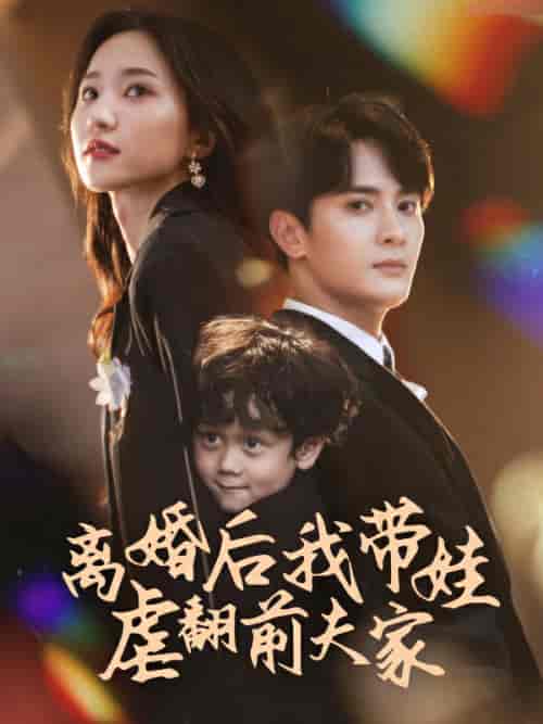 离婚后我带娃虐翻前夫家（75集）赵慧楠 - 海之城短剧