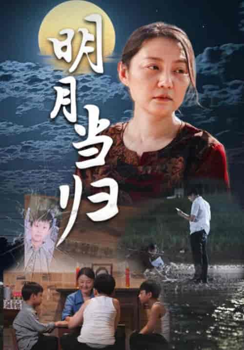 明月当归 明月当归