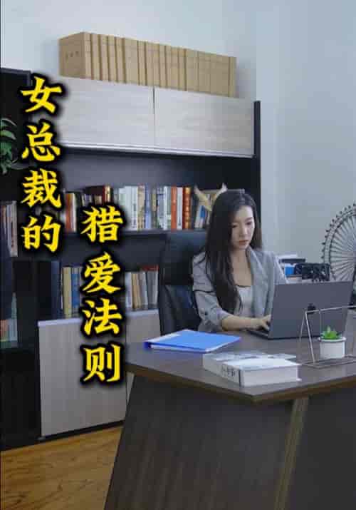 女总裁的猎爱法则（80集全）林白＆顾若 - 海之城短剧
