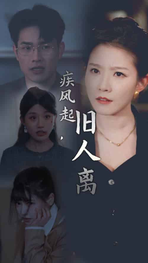 疾风起旧人离（32集全） - 海之城短剧