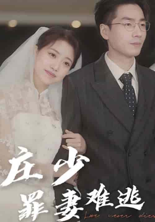 庄少罪妻难逃（80集全）庄文疏＆祝今好 - 海之城短剧