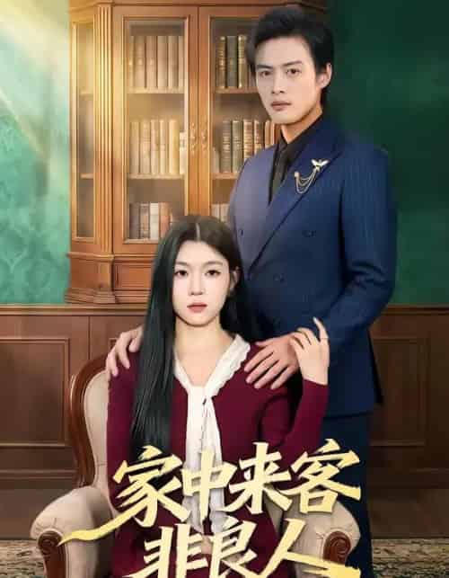 家中来客非良人（79集全）宋权晳＆于钊-海之城短剧项目