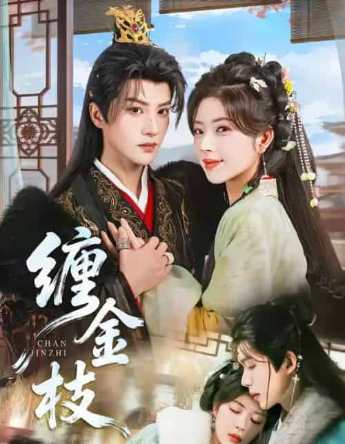 缠金枝（69集全）陈云廷＆熊安妮-海之城短剧项目