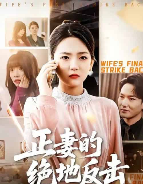正妻的绝地反击（76集全）张浩天＆高婧琪-海之城短剧项目