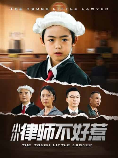 小小律师不好惹（82集全）王晓蒙 - 海之城短剧
