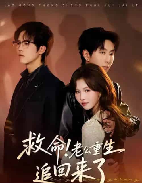 救命！老公重生追回来了（40集全）丁紫嫣＆戴睿-海之城短剧项目