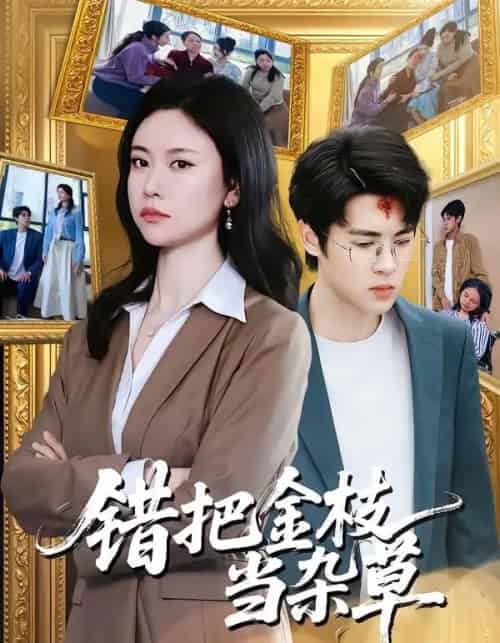 错把金枝当杂草（56集全）姚蜜＆张庭华-海之城短剧项目