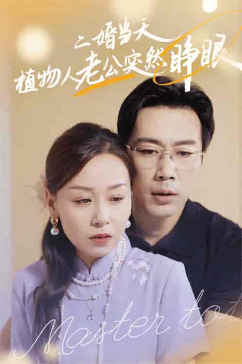 二婚当天植物人老公突然睁眼（40集全） - 海之城短剧