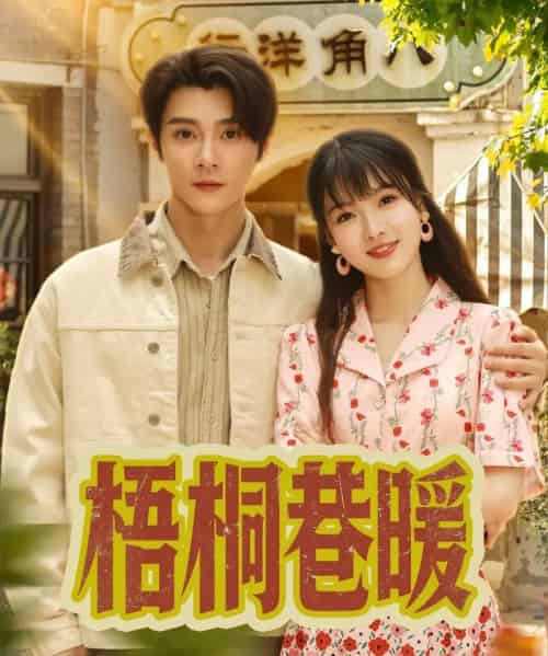梧桐巷暖 梧桐巷暖