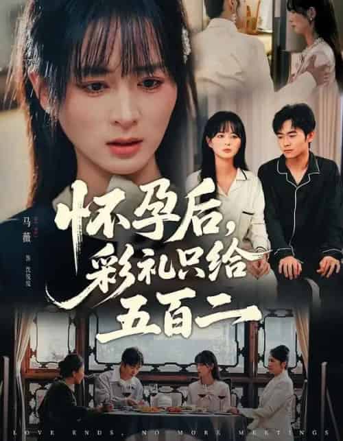 怀孕后，彩礼只给五百二（40集全）马薇＆丛家梦-海之城短剧项目