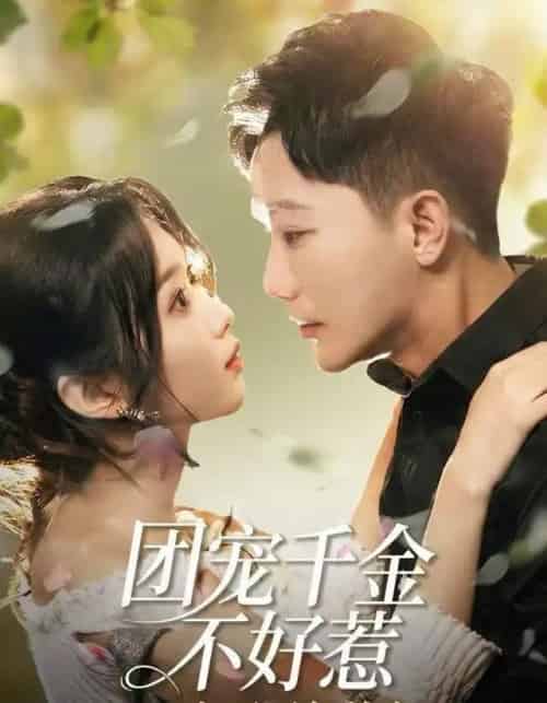 团宠千金不好惹，三个哥哥争着宠（69集全）李永鑫＆周蓉倩-海之城短剧项目