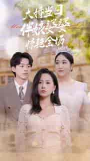 大婚当日伴娘婆婆惊艳全场（30集全） - 海之城短剧