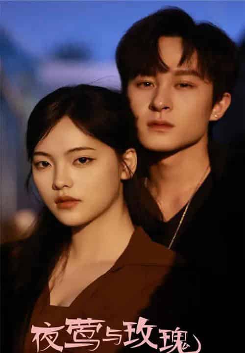 夜莺与玫瑰（60集）聂杨＆江炘-海之城短剧项目