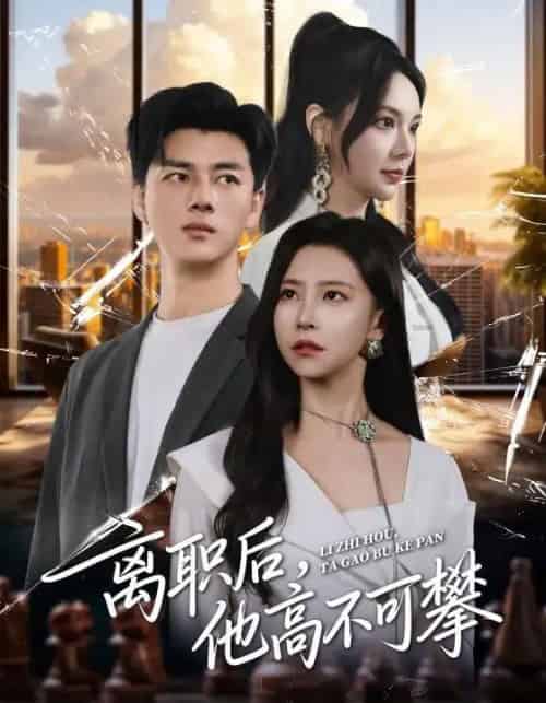 离职后，他高不可攀（40集全）李进源＆袁宁-海之城短剧项目