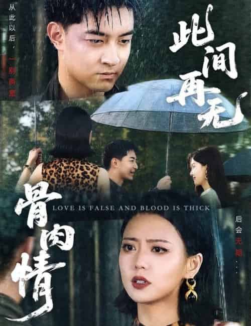 此间再无骨肉情（60集全）贺龙天＆高岫楠 - 海之城短剧