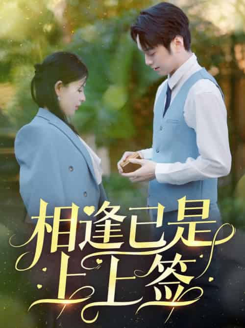 相逢已是上上签（30集全）李雯慧＆王青青 - 海之城短剧