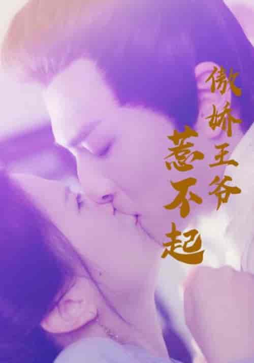 傲娇王爷惹不起（17集）顾彦辰＆陆倾婉 - 海之城短剧