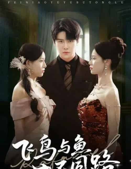 飞鸟与鱼不同路（60集全）祝静怡＆曲曦晨-海之城短剧项目