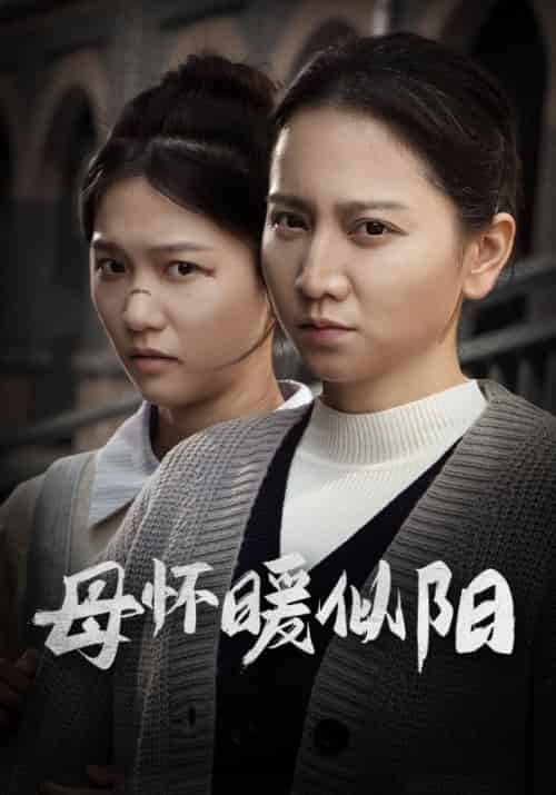 母怀暖似阳（63集全）孙晓晨＆苏芬 - 海之城短剧