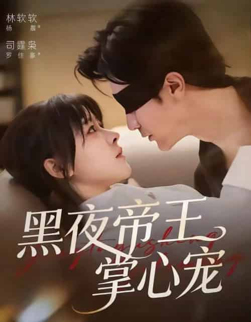 黑夜帝王掌心宠（68集全）罗佳豪＆杨晨（女）-海之城短剧项目