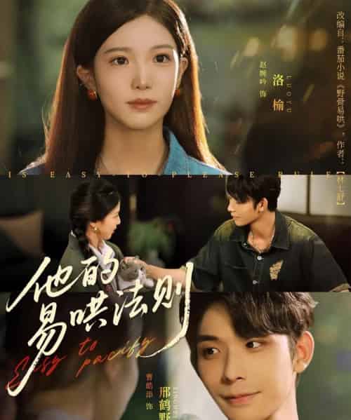 他的易哄法则（80集）曹皓添＆赵婉吟-海之城短剧项目