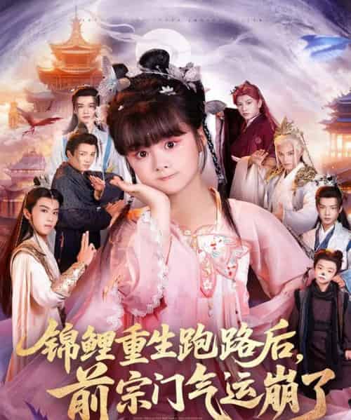 锦鲤重生跑路后前宗门气运崩了（73集全）-海之城短剧项目