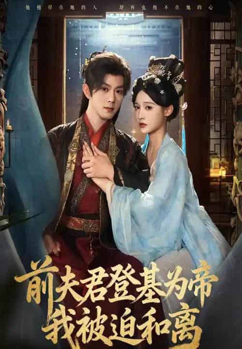 前夫君登基为帝我被迫和离（68集全）蓝博＆甜九洛-海之城短剧项目